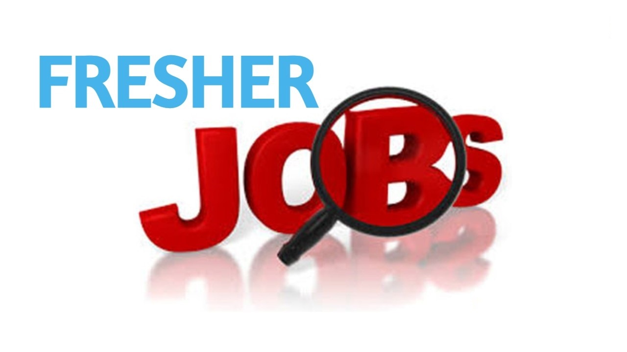 IT Jobs for Freshers: Jumpstart Your Career Today!